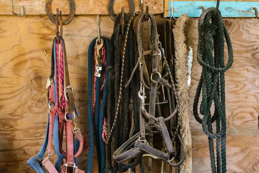 The Art of Choosing Equestrian Accessories: Tips for Every Rider