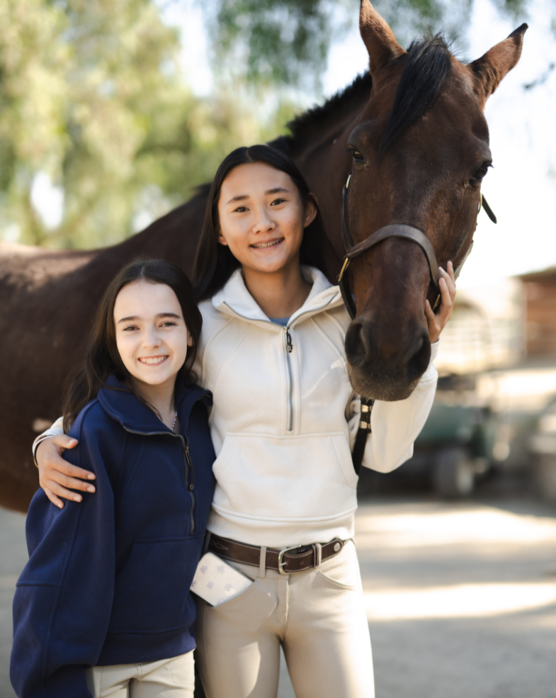 Half Zip Cropped Sweatshirt