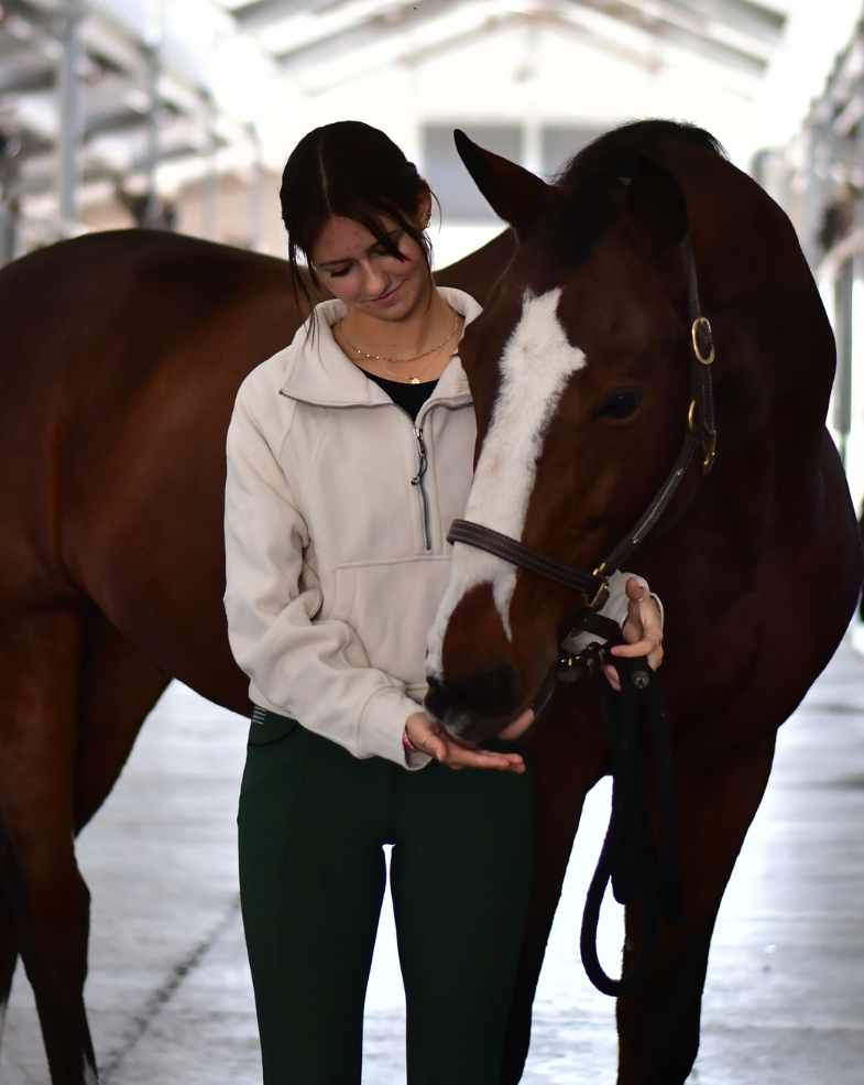 Half Zip Cropped Sweatshirt