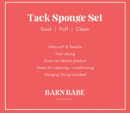 5-pc Tack Sponge Set