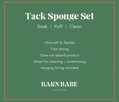 5-pc Tack Sponge Set