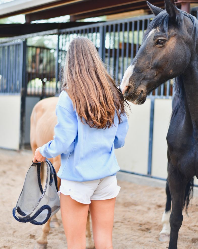 Equestrian crewneck sweatshirt blue