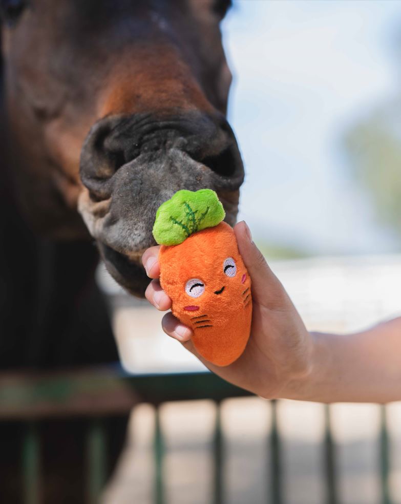 barn_babe_equestrian_lucky_carrot_keychain