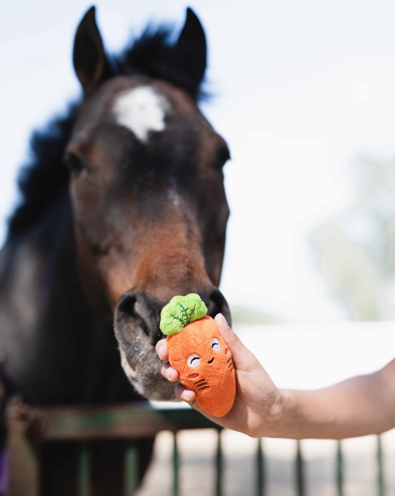 barn_babe_equestrian_lucky_carrot_keychain