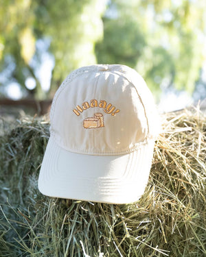 hay baseball hat summer waterproof