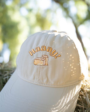 hay baseball hat summer waterproof